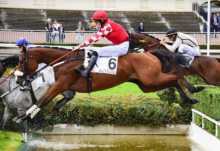 Actualités Hippiques